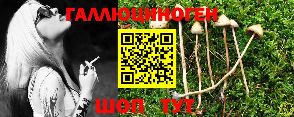 Псилоцибиновые грибы Magic Shrooms Нововоронеж